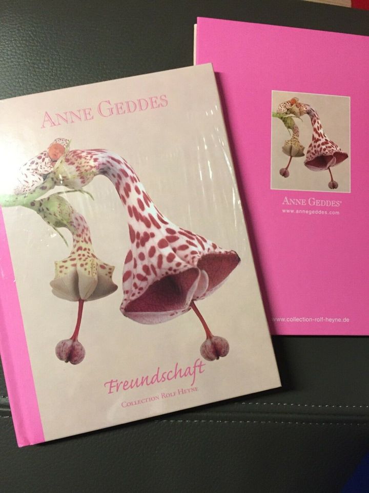 Anne Geddes Buch Freundschaft Freunde Poesie neu 2x Heyne in Sanitz