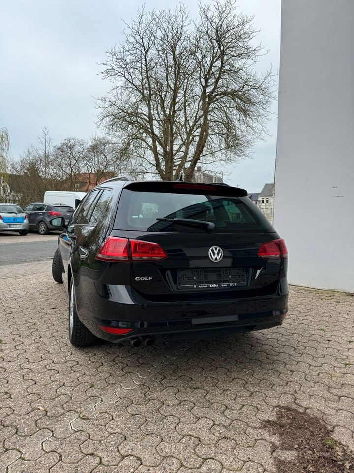 Volkswagen Golf VII 2.0 TDI Variant Comfortline BMT Navi in Brake (Unterweser)