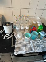 Babyflaschen und Zubehör Nordrhein-Westfalen - Dülmen Vorschau