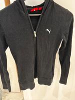 Puma Jacke Nordrhein-Westfalen - Paderborn Vorschau