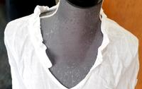 Bluse Shirt Trompeten Ärmel zauberhaft Dortmund - Brackel Vorschau