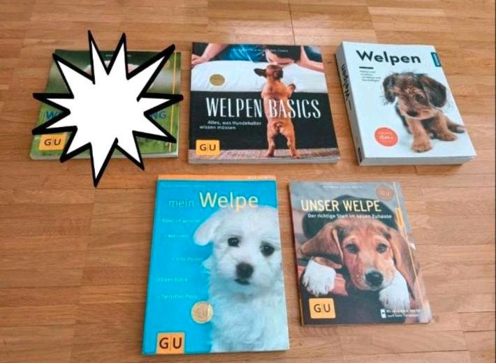 ♡♡♡Bücher / GU / Kosmos /  Welpe / Erziehung / Hund♡♡♡ in Schwerte