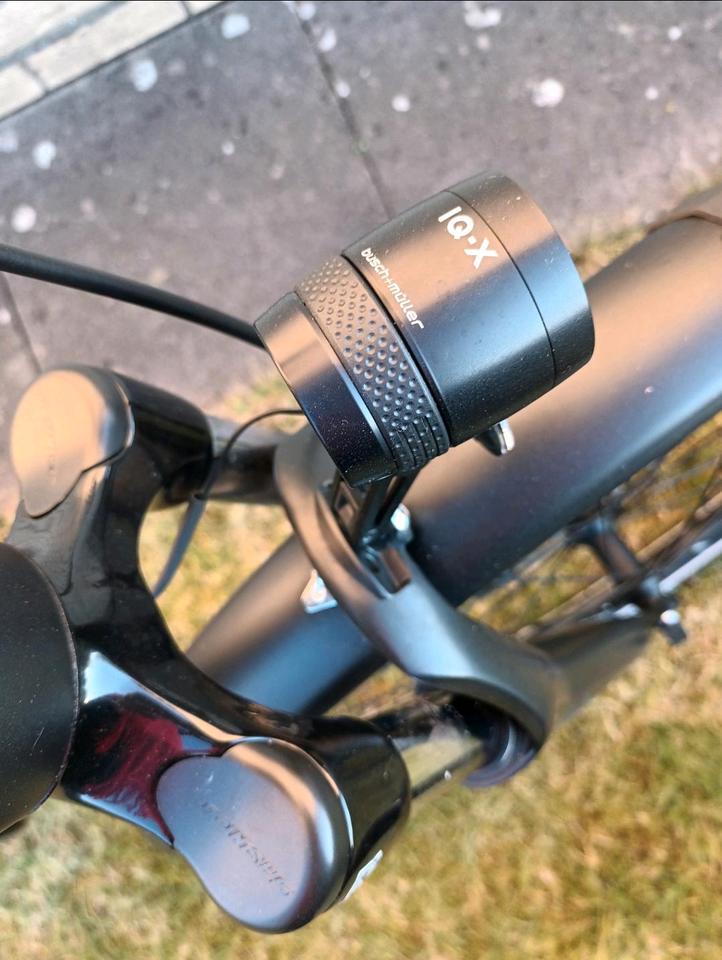 E-Bike Pegasus RH50cm, 28Zoll, inkl. Schloss,Tasche,Spiegel  etc. in Diepholz