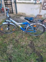 Kinderfahrrad 26 Zoll Nordvorpommern - Landkreis - Zarrendorf Vorschau