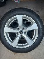 4x Winterreifen 225/55 R17 101V  Borbet Alufelgen LK120 Bochum - Bochum-Mitte Vorschau