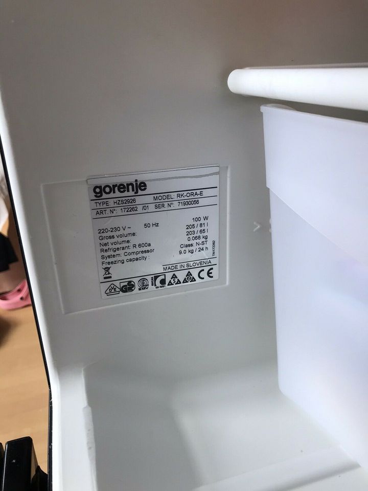 Seltener Design Kühlschrank Ora Ito Serie von Gorenje in Genthin