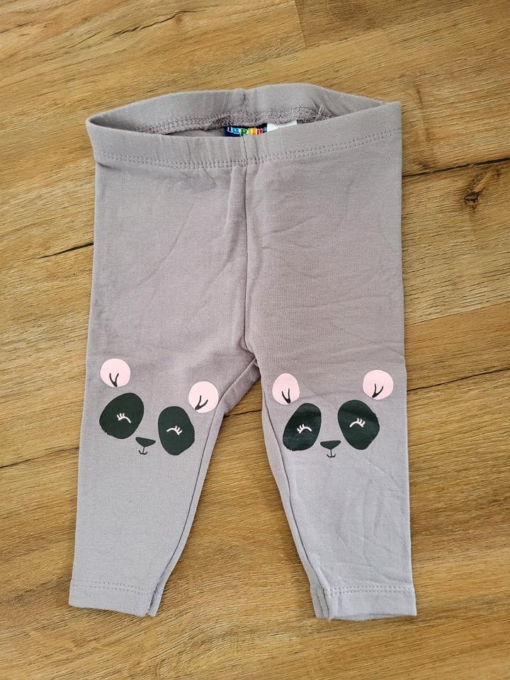 Lange Leggings mit Pandaaufdruck für Kinder (Inser.-Nr. 115) in Strullendorf