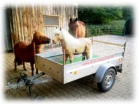 Kindergeburtstag mit Ponys bei euch daheim! Bayern - Bobingen Vorschau