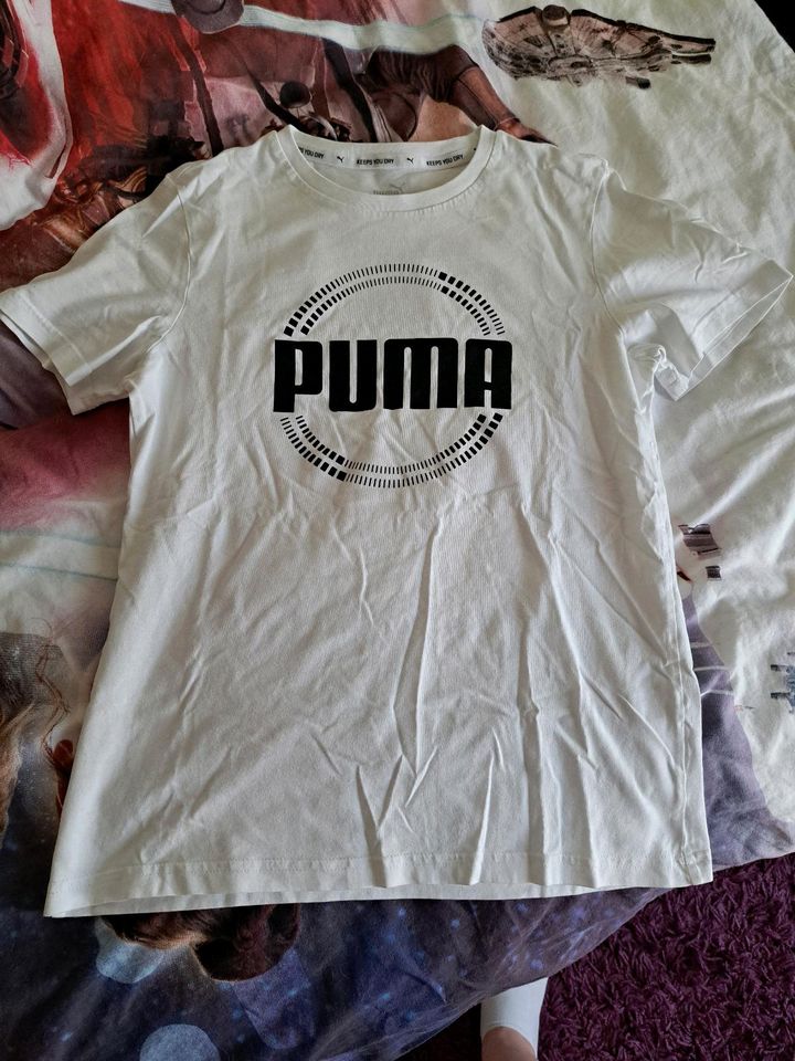 Puma tshirt gr. 164 in Vlotho