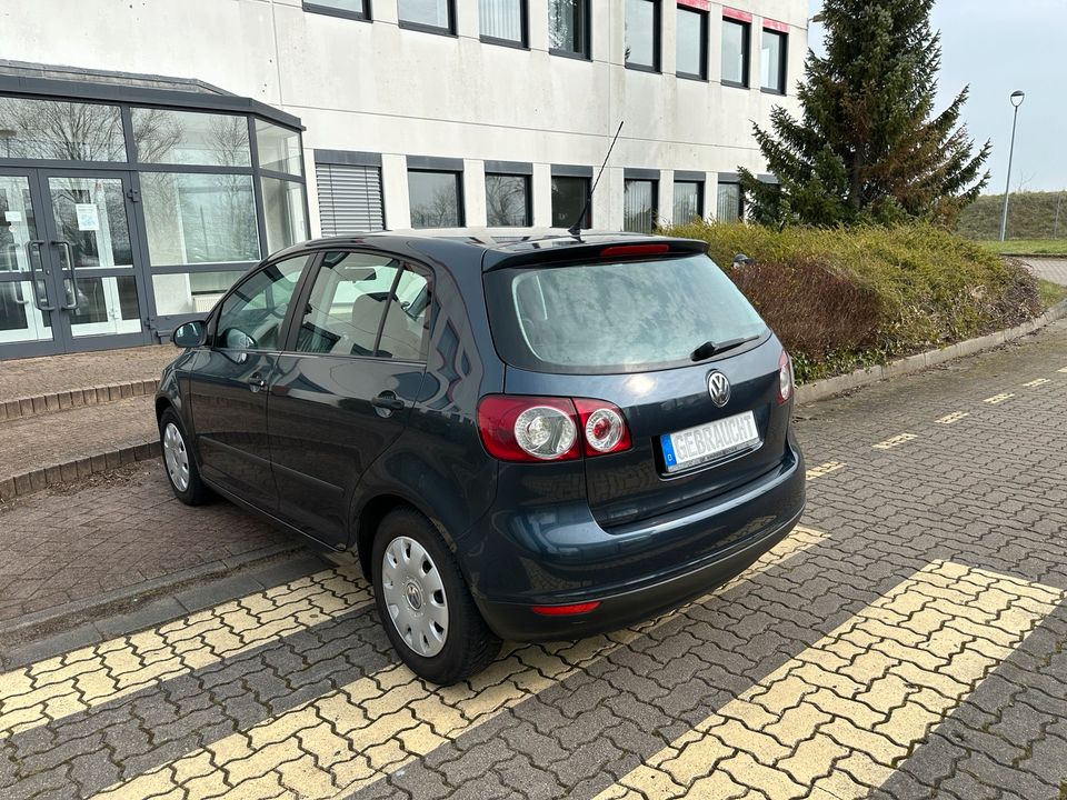 VW Golf Plus 1.9 TDI Klimaautomatik TÜV-neu ZV+Funk el.FH in Ziesendorf