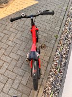 Kinderfahrrad  16 zoll Berlin - Pankow Vorschau