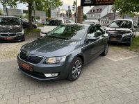 Skoda Octavia Lim. Edition/Xenon/Navi/ Aubing-Lochhausen-Langwied - Aubing Vorschau