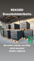 **REKORD Braunkohlebriketts 25 kg** Nordrhein-Westfalen - Borchen Vorschau