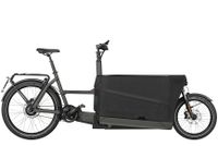 Riese & Müller "Packster 70 vario" urban grey matt, 625 Dual Nordrhein-Westfalen - Soest Vorschau