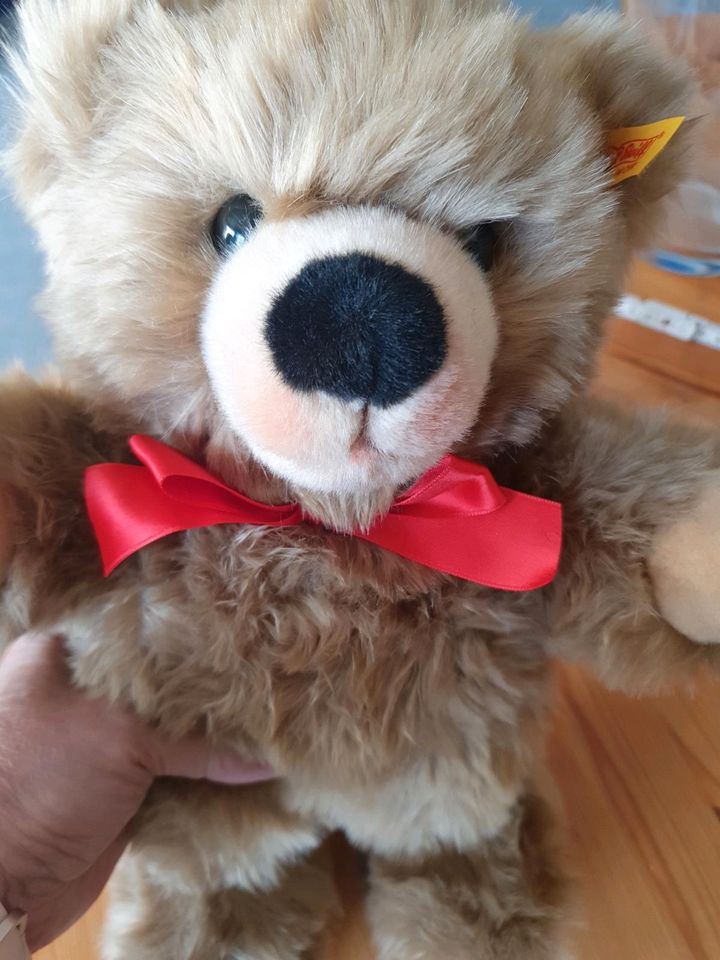 Teddybär von Steiff in Augsburg