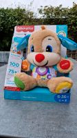 Hund FisherPrice Nordrhein-Westfalen - Neuss Vorschau