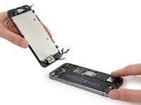 Apple iPhone SE Displayreparatur Glas Touch Reparatur Repair Niedersachsen - Göttingen Vorschau