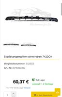 Peugeot Stoßstangengitter oben Peugeot 207 CC SW Düsseldorf - Bilk Vorschau