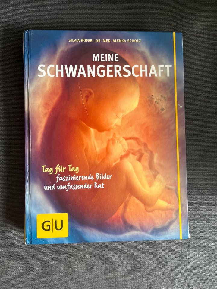 Buch meine Schwangerschaft in Gladenbach