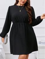 Kleid schwarz in Größe 2XL(48) Brandenburg - Tröbitz Vorschau