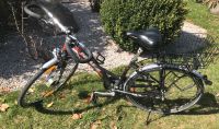 Pegasus/DAMENRAD/Trekkingrad/28Zoll/Gepäckträger/Alu Light Bayern - Teuschnitz Vorschau