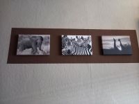 Leinwand Bilder Afrika schwarzweiß Elefant zebra Giraffe deko Hude (Oldenburg) - Nordenholz Vorschau