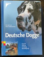 Deutsche Dogge Buch Praxis Wissen Hund Auswahl Haltung Erziehung Niedersachsen - Wardenburg Vorschau