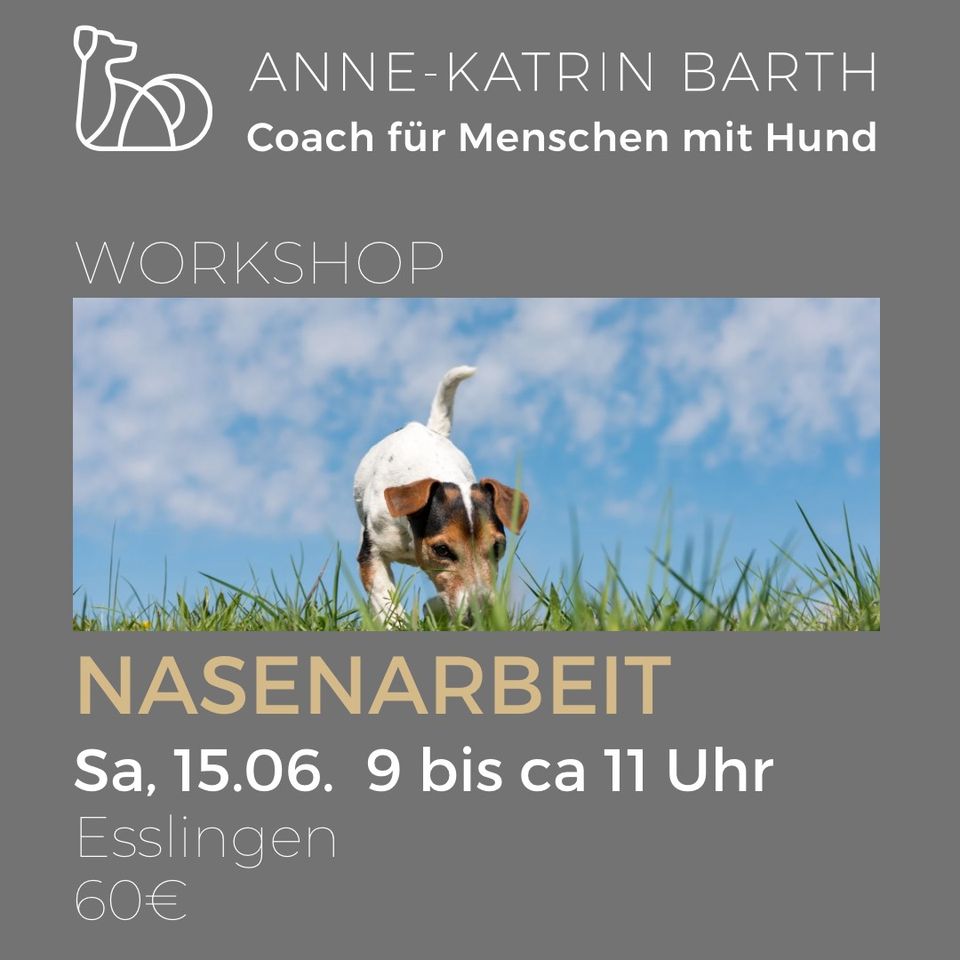 Nasenarbeit Workshop in Esslingen