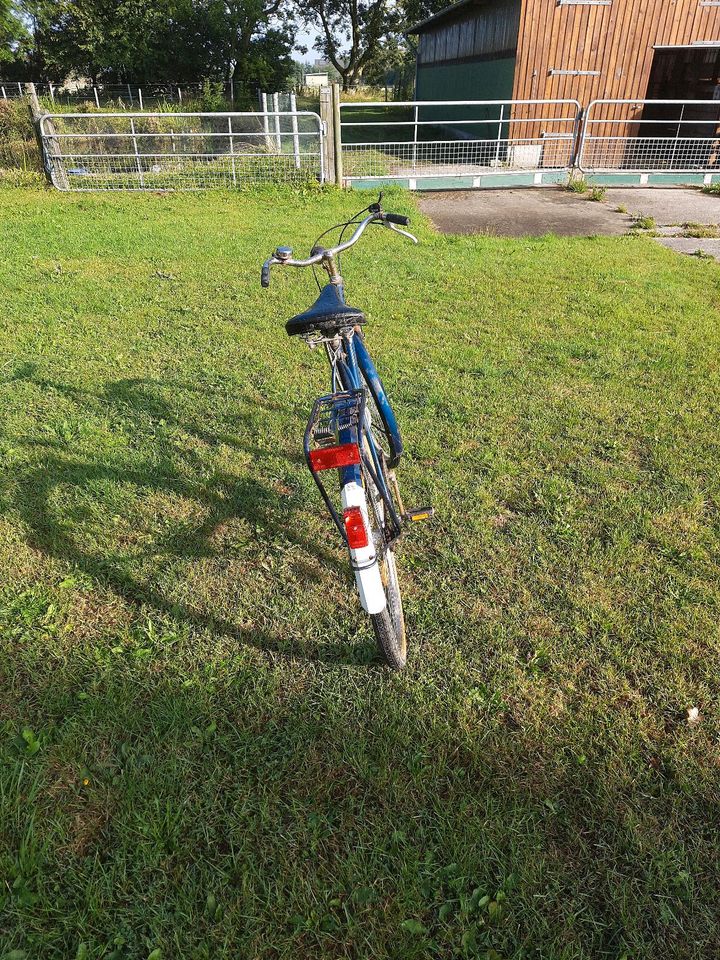 Fahrrad 28" Oldtimer Hollandrad in Oldenswort