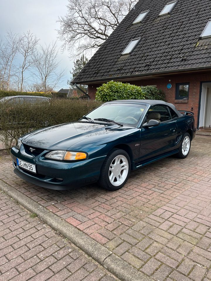 Ford Mustang GT 4,6 V8 Automatik neues Verdeck in Norderstedt