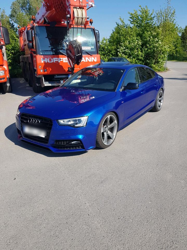 Audi A5 Sportback S-line Quattro Black Edition 3,0 V6 TDI in Kutenholz