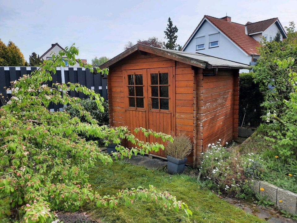 Gartenpflanzen in Osnabrück