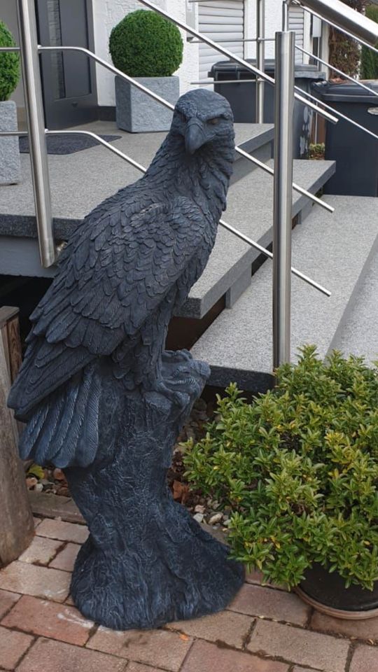 ‼️Adler 100kg 106cm Steinadler Seeadler Greifvogel Eagle Harley‼️ in Düsseldorf