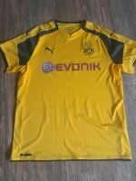 BVB Trikot Nordvorpommern - Landkreis - Ribnitz-Damgarten Vorschau