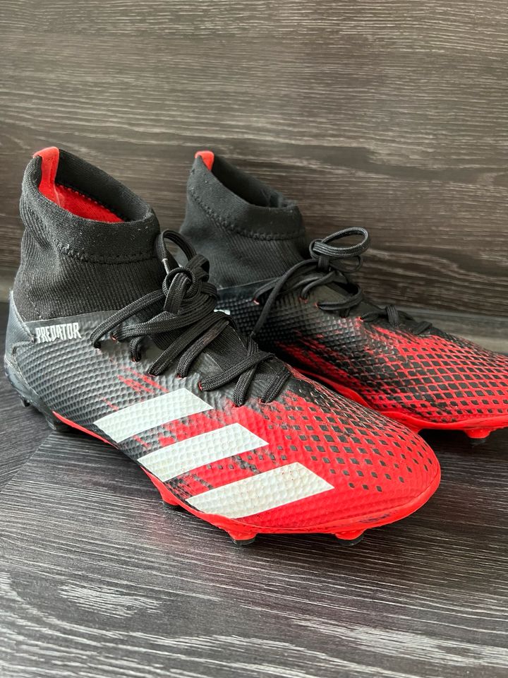 adidas Predator 20.3 Fussballschuhe Gr. 40 in Augustdorf