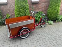 't Mannetje Elektrische Lasten Fahrrad Rheinland-Pfalz - Werkhausen Vorschau