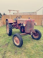 Traktor MC Cormick D219 Bj. 1965 Nordwestmecklenburg - Landkreis - Grevesmuehlen Vorschau