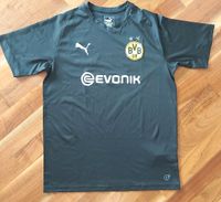 Trikot BVB Baden-Württemberg - Freiburg im Breisgau Vorschau