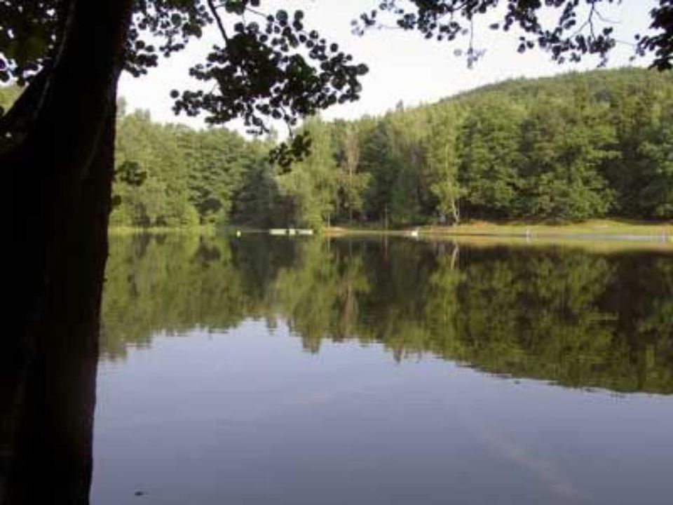 Ferienhaus Harz mitten im Wald 2 Pers. riesen Garten, POOL, Hunde in Sangerhausen