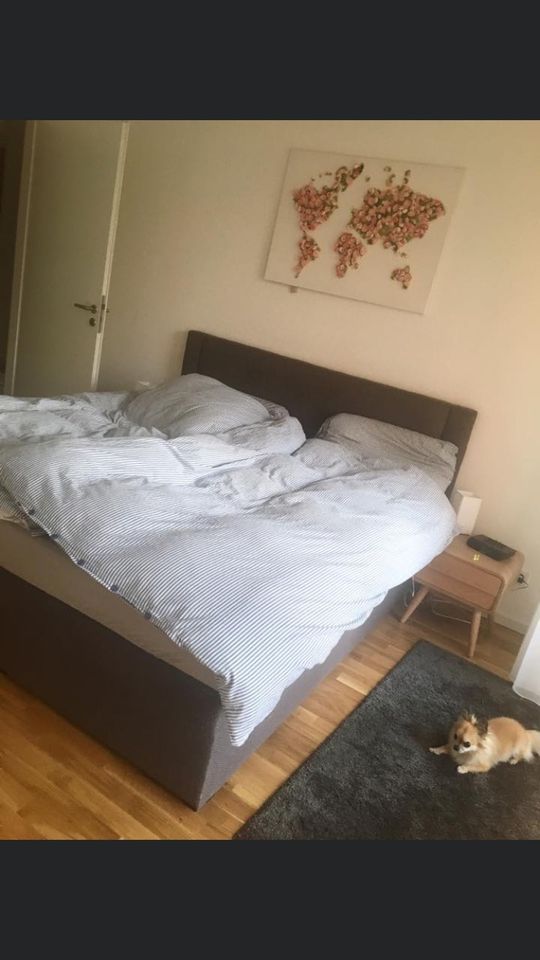Furnished, Spacious and bright flat in central Berlin in Berlin
