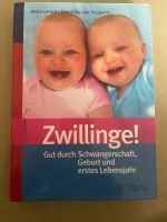 Buch: Zwillinge! Niedersachsen - Heinsen Vorschau