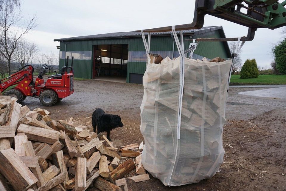 Holzspalter zu vermieten Binderberger in Willenscharen