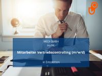Mitarbeiter Vertriebscontrolling (m/w/d) | Emsdetten Nordrhein-Westfalen - Emsdetten Vorschau