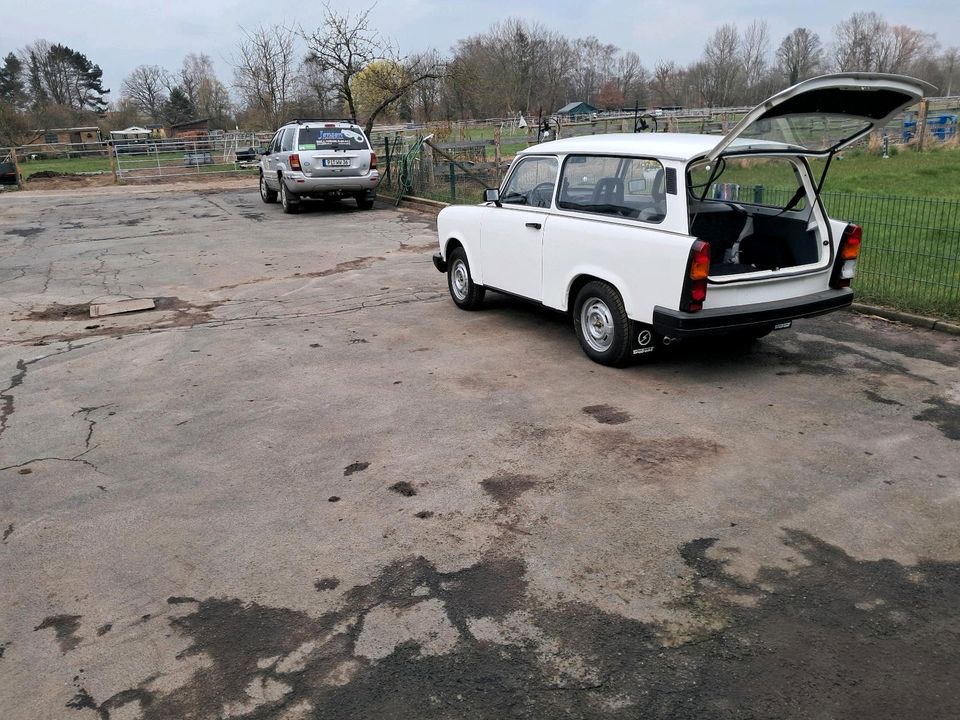 Trabant 1.1 in Tangstedt