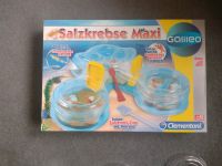 Galileo Salzwasserkrebse Maxi Baden-Württemberg - Willstätt Vorschau