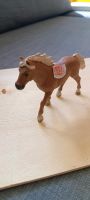 Schleich Pony Nordrhein-Westfalen - Werther (Westfalen) Vorschau