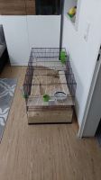 Hamsterkäfig und Hamster Baden-Württemberg - Karlsruhe Vorschau