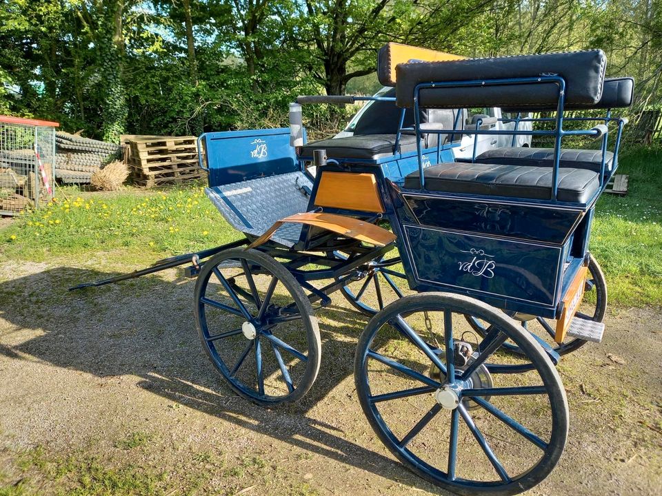 Dressurwagen Kutsche Bockhöhe 140cm Spurbreite 125cm in Straelen