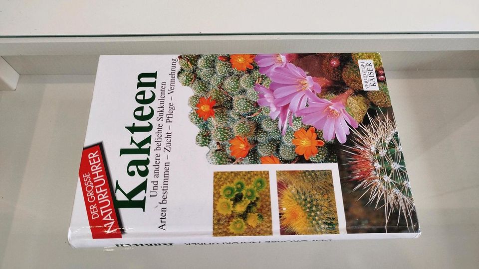 Buch Sachbuch "Der große Naturführer Kakteen" in Lage