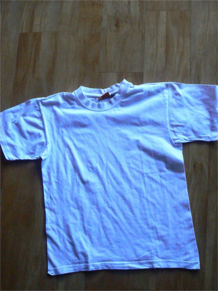 T.Shirt Gr.128 neuwertig weiß / 1 T- Shirt hellblau Gr. 128 in Dörpen